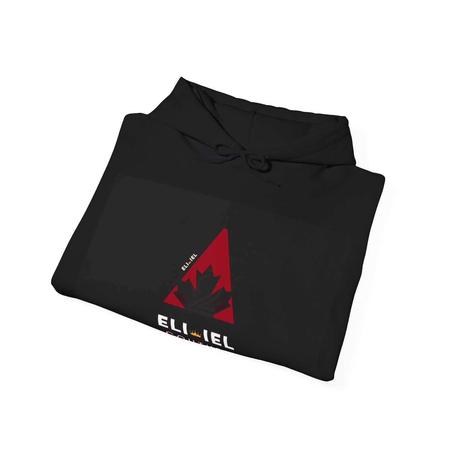Trendy Unisex Hooded Sweatshirt, Cozy Pullover for Casual Wear, Holiday Gift, Streetwear Style, ELI IEL Couture